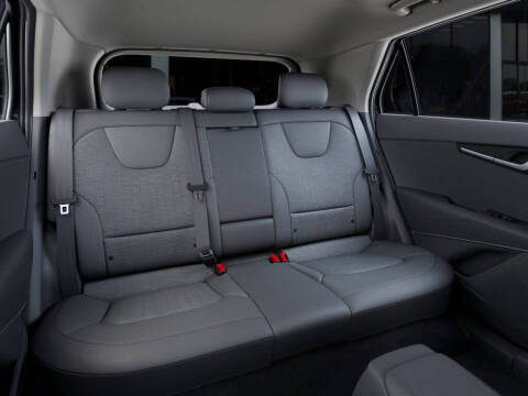 2025 Kia Niro EV Wave