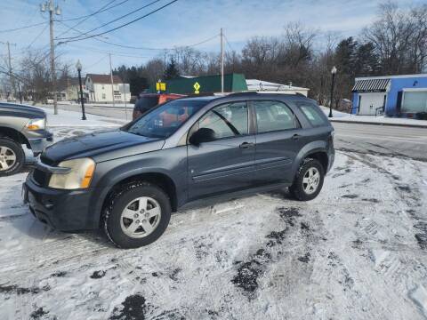 2009 Chevrolet Equinox for sale at Maximum Auto Group II INC in Cortland OH
