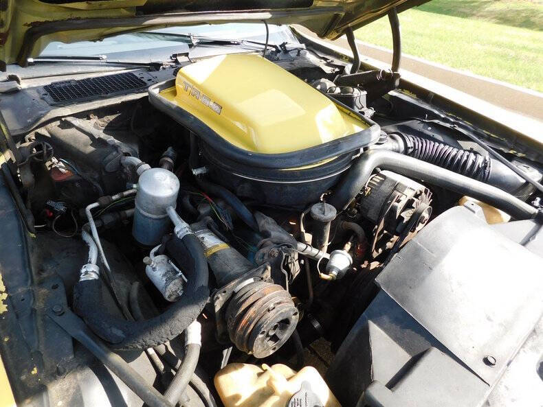 1979 Pontiac Firebird Trans Am