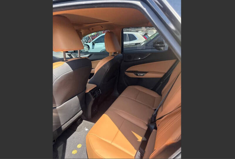 2024 Lexus NX 250 Premium
