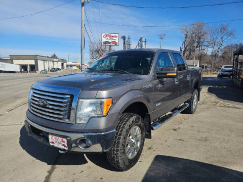 2012 Ford F-150 for sale at El Rancho Auto Sales in Des Moines IA