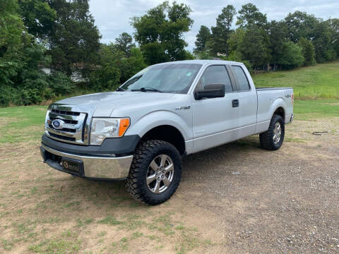 2014 Ford F-150 for sale at A&P Auto Sales in Van Buren AR