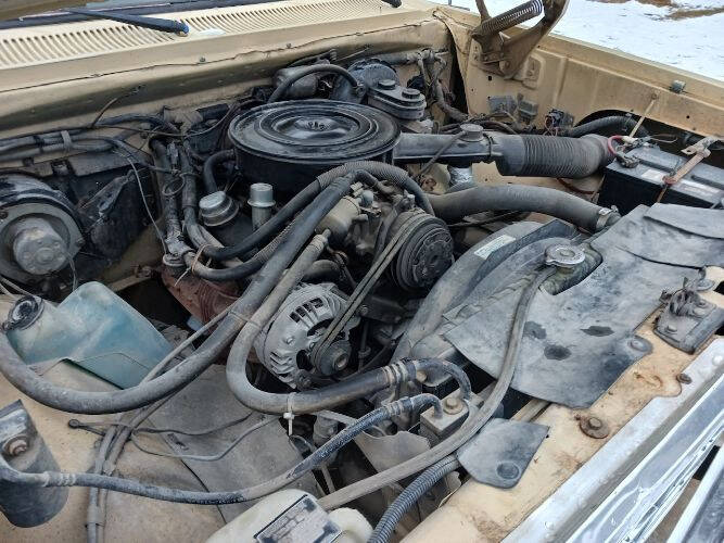 1985 Dodge D100 Pickup