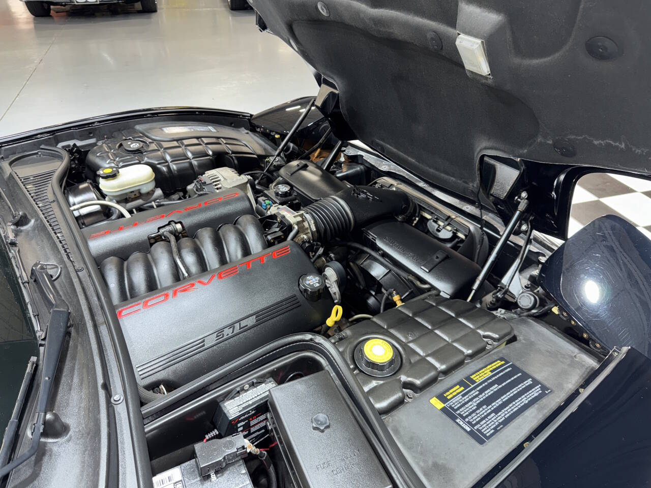 2004 Chevrolet Corvette 55