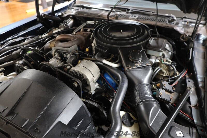 1981 Pontiac Firebird Trans Am
