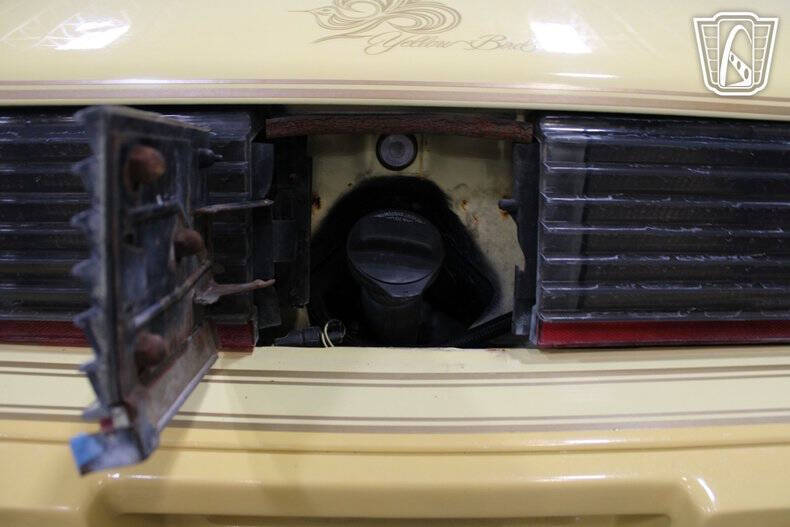 1980 Pontiac Firebird