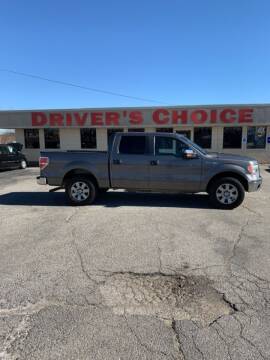 2014 Ford F-150 for sale at Driver's Choice in Sherman TX