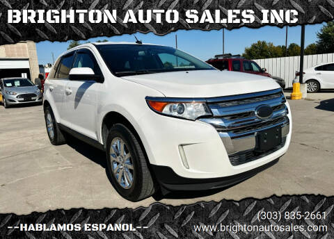 2013 Ford Edge for sale at BRIGHTON AUTO SALES INC in Brighton CO