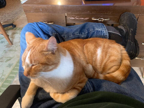 2007 Volkswagen Eos 2.0T