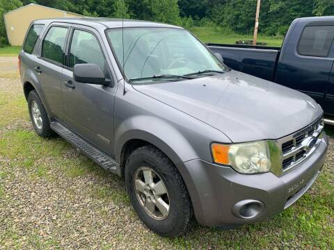 2008 Ford Escape for sale at Court House Cars, LLC in Chillicothe OH