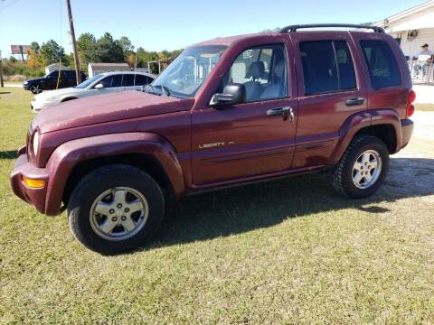 2002 Jeep Liberty for sale at Albany Auto Center in Albany GA