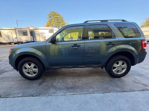 2010 Ford Escape XLT