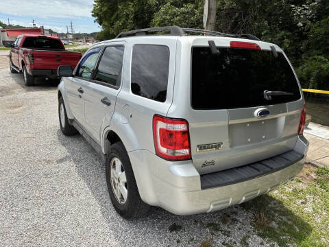 2009 Ford Escape XLT