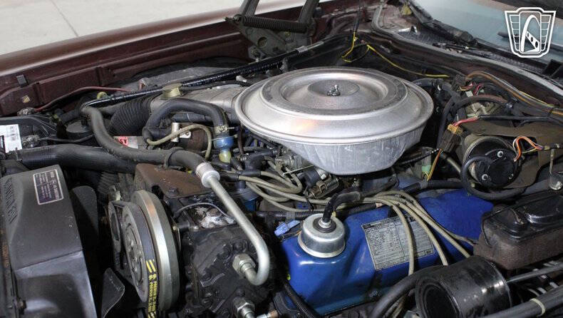 1979 Ford Thunderbird