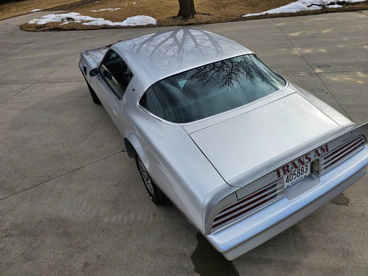 1977 Pontiac Trans Am 15