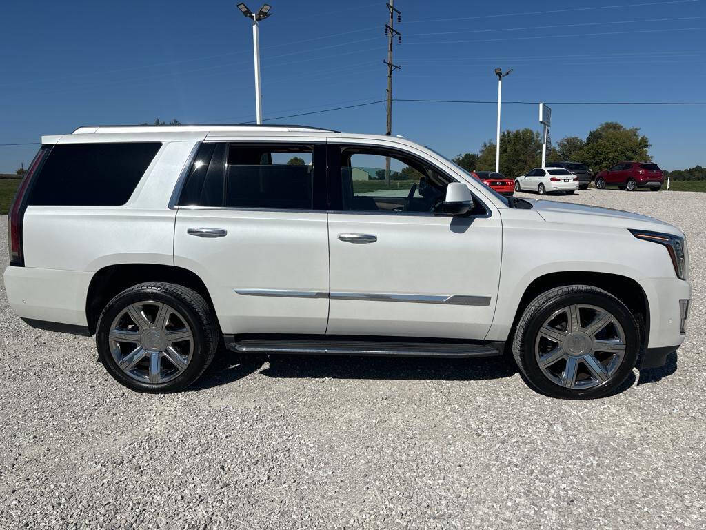 2017 Cadillac Escalade for sale at Springer Auto Sales in Waterloo, IL