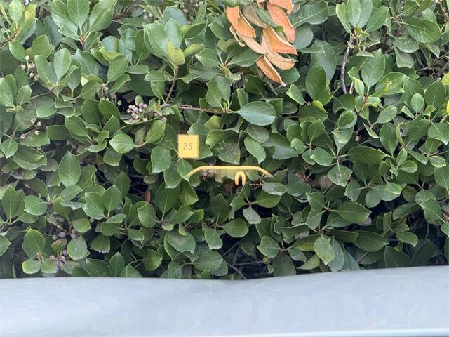 2019 BMW 5 Series M550i xDrive