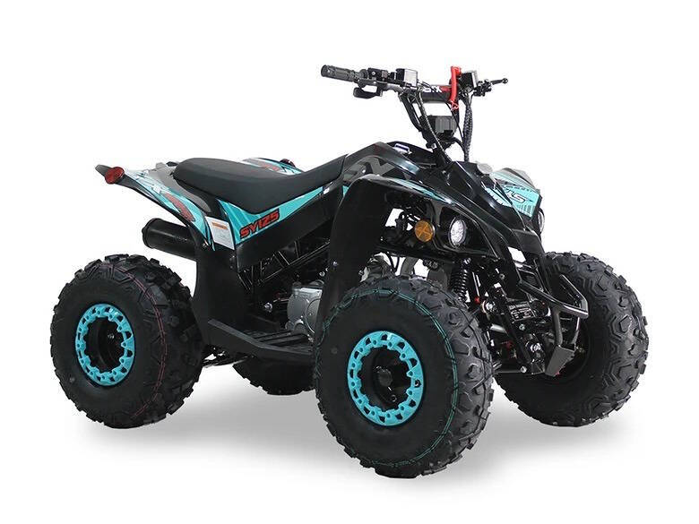 2024 SYXMOTO  PRO SERIES ATV SY125 for sale at TEXAS MOTORS POWERSPORT in ORLANDO, FL