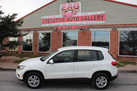 2014 Volkswagen Tiguan for sale at EXECUTIVE AUTO GALLERY INC in Walnutport PA