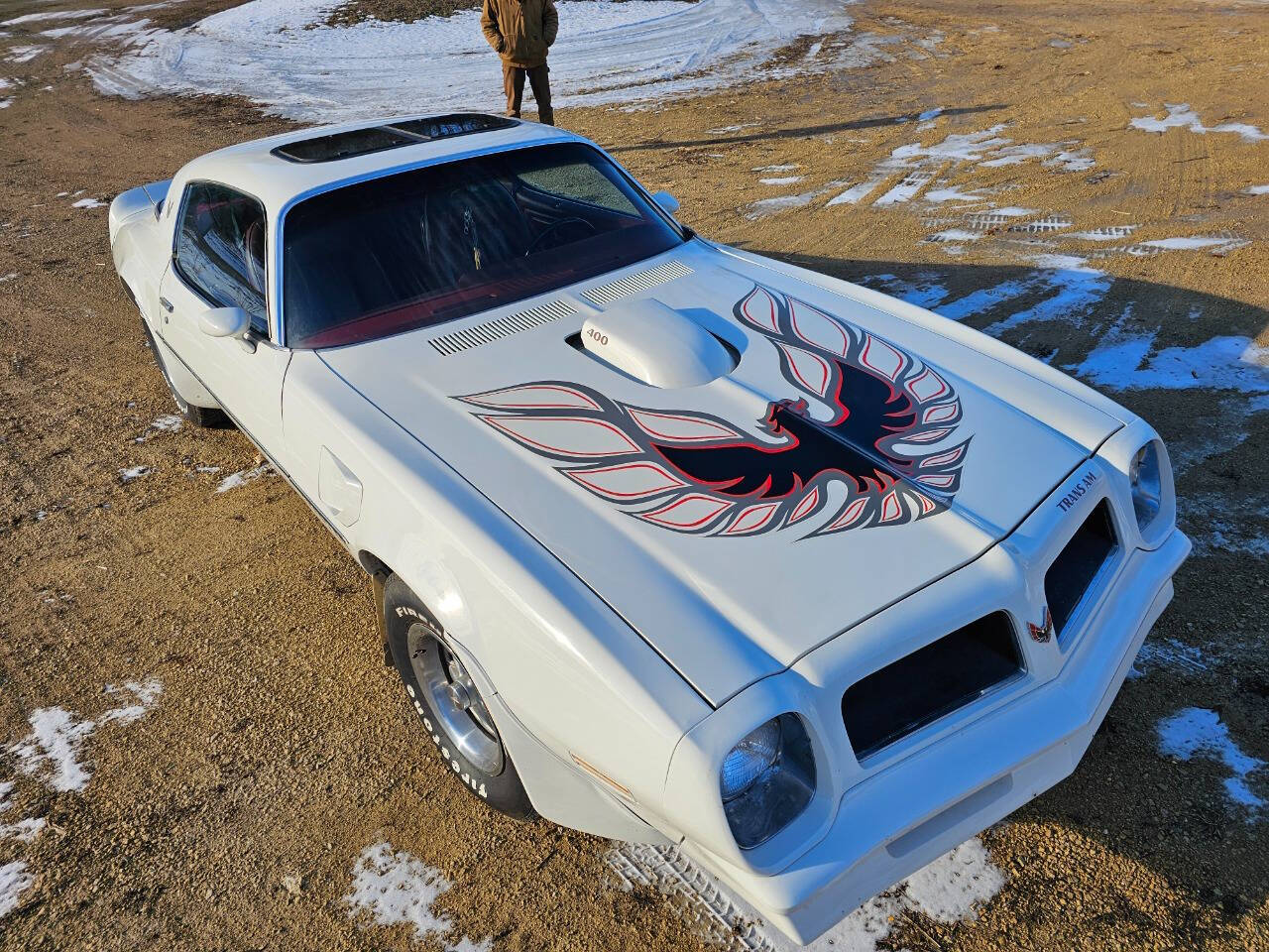 1976 Pontiac Trans Am 31