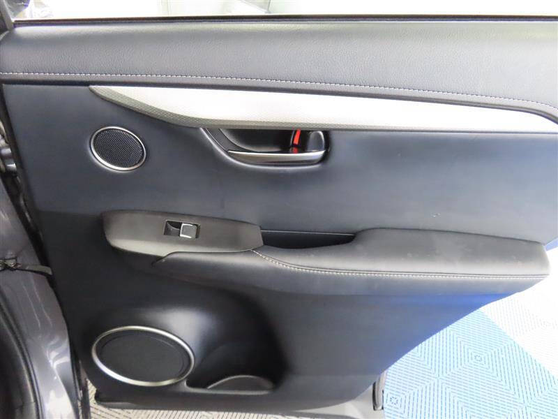 2019 Lexus NX 300 F SPORT