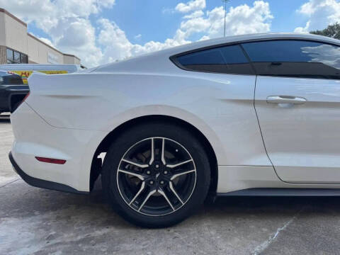 2019 Ford Mustang