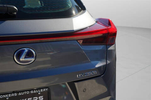 2020 Lexus UX 250h F SPORT