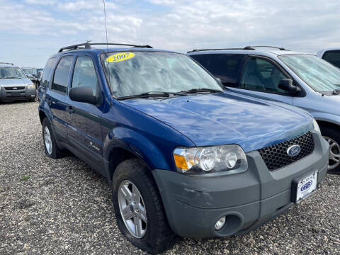 2007 Ford Escape Hybrid for sale at Alan Browne Chevy in Genoa IL