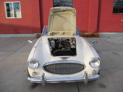 1966 Austin-Healey 3000