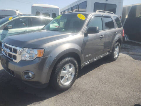 2011 Ford Escape for sale at Mr E's Auto Sales in Lima OH