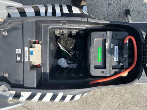 2020 Zebra E-bike