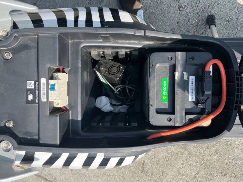 2020 Zebra E-bike