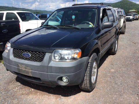 2007 Ford Escape XLT