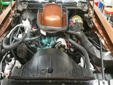 1979 Pontiac Firebird Trans Am