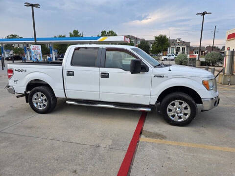 2009 Ford F-150