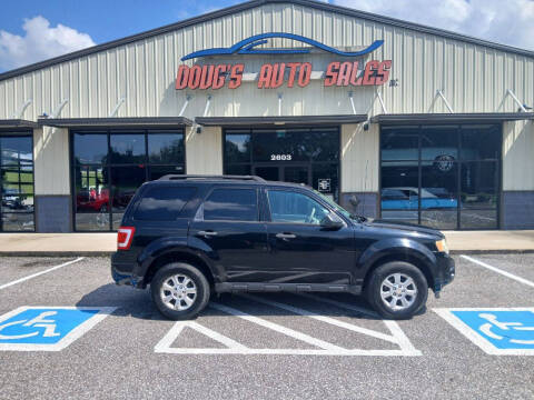 2010 Ford Escape XLT