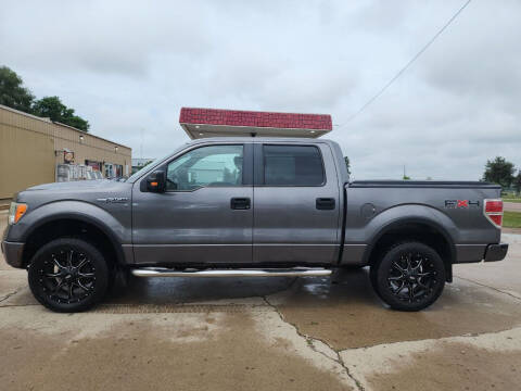 2009 Ford F-150 for sale at Dakota Auto LLC in Dakota City NE