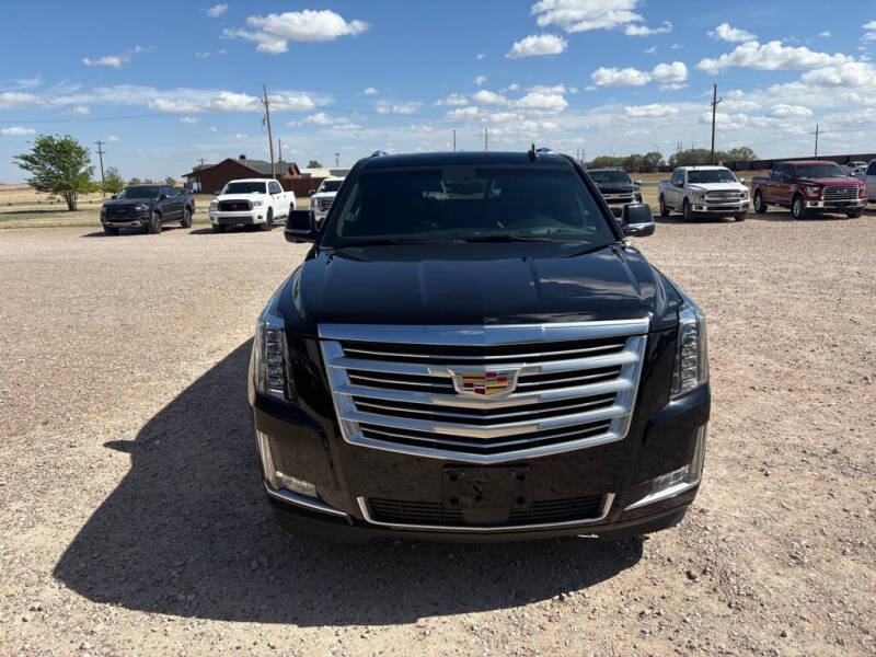 2017 Cadillac Escalade ESV Platinum
