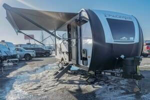 Palomino Palomini Image