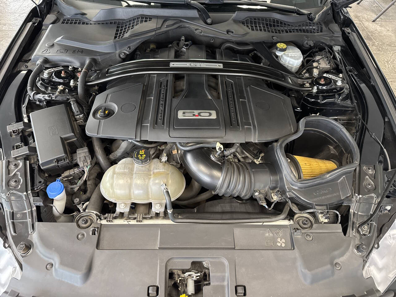 used 2021 Ford Mustang car, priced at $36,999