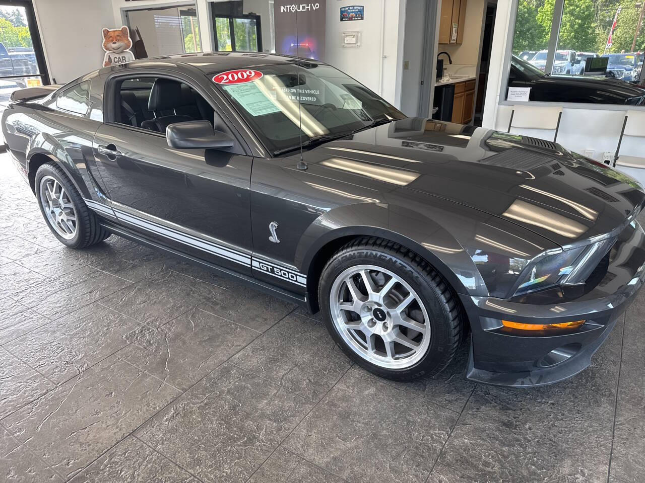 used 2009 Ford Shelby GT500 car